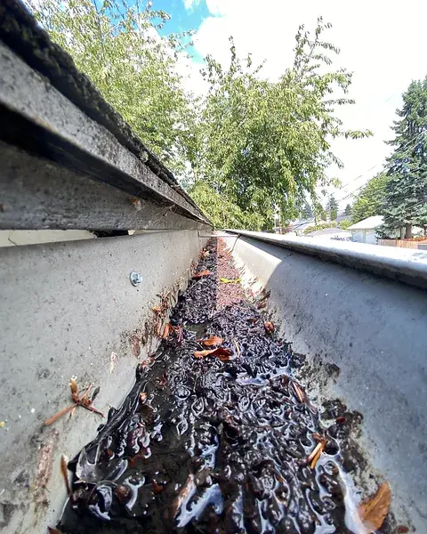 Gutter Cleaning Cookeville, TN