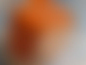 栃木県の美味しいプリンをご紹介