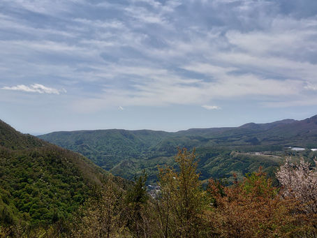 新緑真っ只中の塩那スカイライン