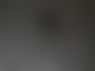 今シーズン初クワガタ