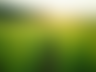 Forming Strategic Partnerships: Success in Agro-Tech and Clean-Tech