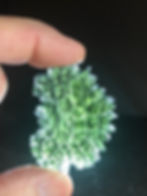थंबनेल: 22.63 gr Besednice