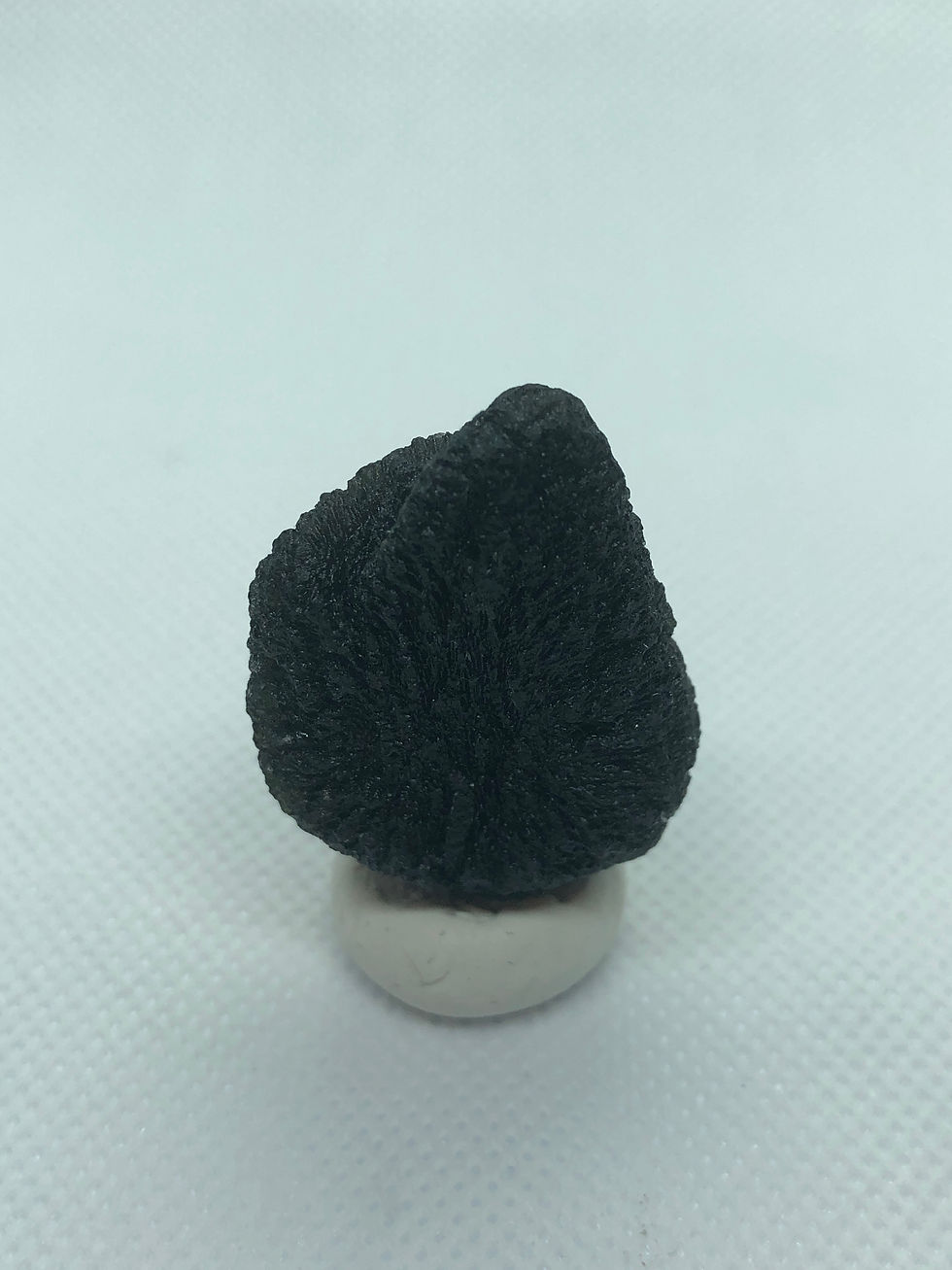 الصورة المصغرة: 19.92 gr