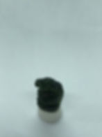 縮圖：Besednice genuine gem