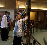 _DSC0114-c