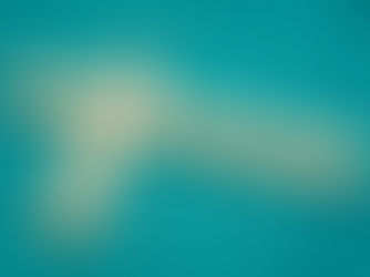 Personal Branding คือการเจียระไนตัวเอง