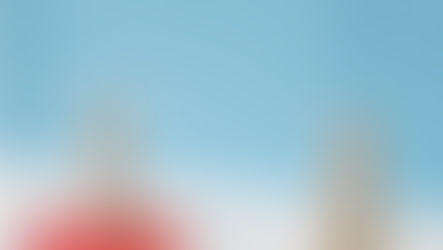 Confirmation Bias: อิทธิพลแฝงในการตัดสินใจทางธุรกิจ