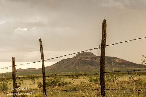 Tucumcari Mountain featured through a barb wired fence - photo credit Connie Loveland.