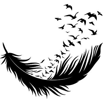 A group of ravens is called a conspiracy.