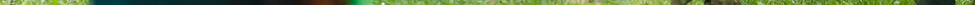 Three landscapers in uniform mowing and cleaning a green grass area with lawn equipment, f