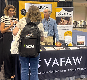 AVMA 2026.png