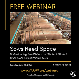Instagram - Prop 12 Webinar Sows Need Space.png
