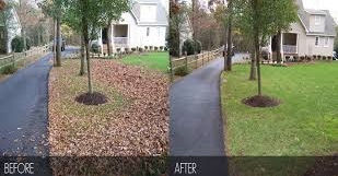 Milton Edgerton Lake Koshkonong Leaf Removal