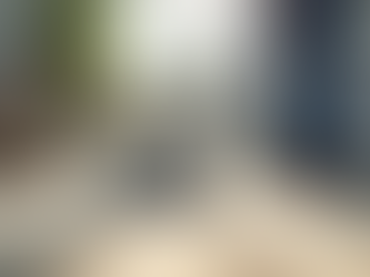 Effective Carpet Cleaning Techniques for Longevity