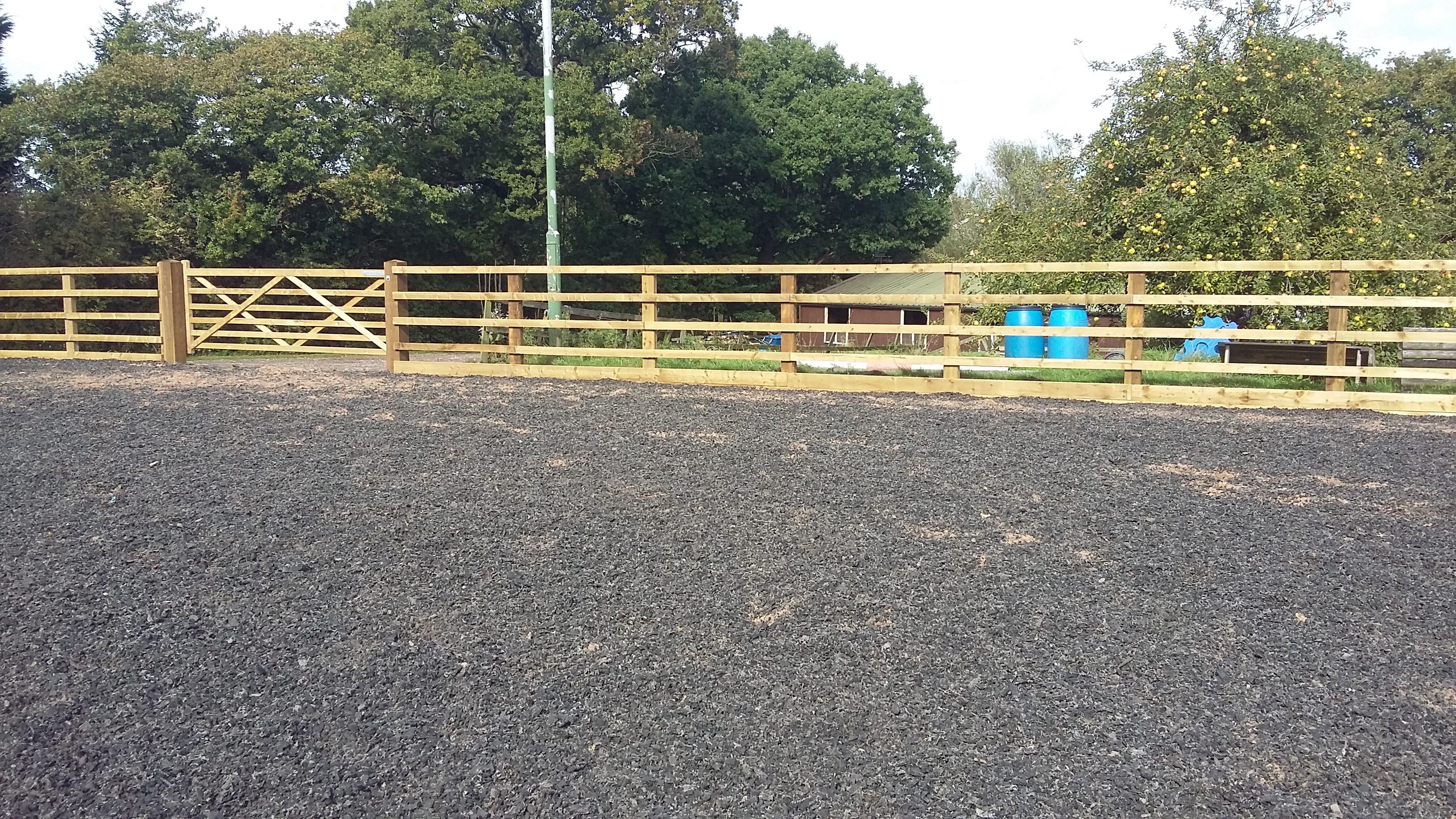 Sand Paddock -with kick board & gate
