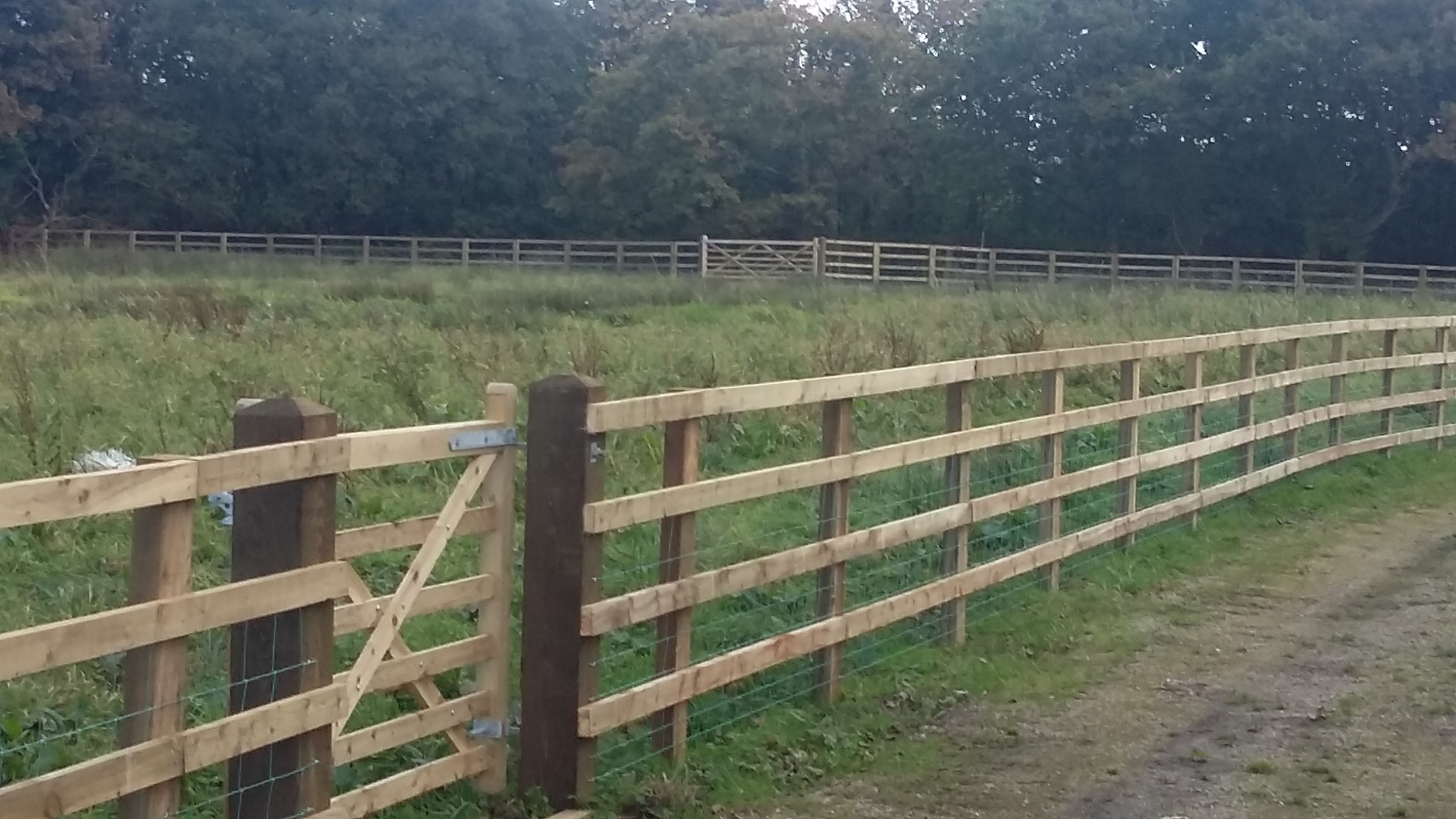 Post Rail -gate posts & gate