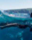 Mergulho no Oceano