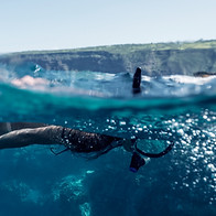 Snorkeling in the Ocean
