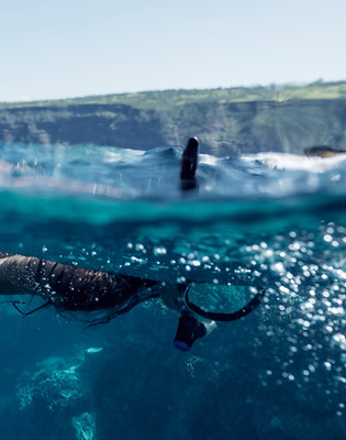 Snorkeling in the Ocean
