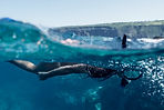 Mergulho no Oceano