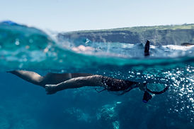 Snorkeling in the Ocean