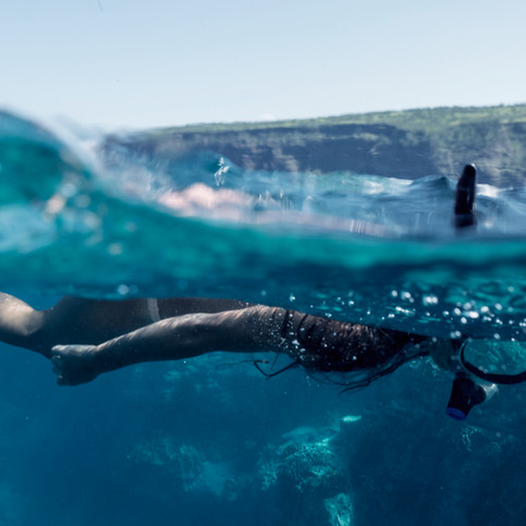 Snorkeling in the Ocean