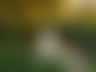 A golden hour shot of a bride and groom share a loving look while standing on the dock of a gorgeous pond surrounded by trees.