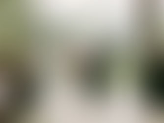 Bride and groom celebrating at the altar at Noble Ridge Tree Deck, framed by a circular floral arch, surrounded by cheering wedding party and lush mountain views of the Pacific Northwest.