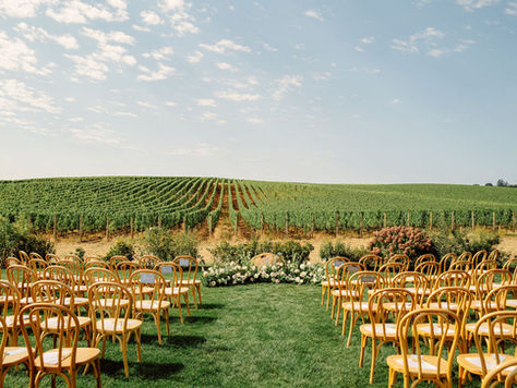 Sunny outdoor wedding ceremony set among vineyard vines at Stoller Family Estate, featuring a natural meadow-style arrangement of soft white altar florals in a warm, light-filled setting.