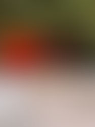 Ceremony set up at Novelty Hill - Januik Winery including white chairs, rustic florals on top of barrels, and and orange industrial background provided by the walls of the venue's garden.