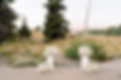 Elegant Vibes and Iconic Views at Timberline Lodge - Angie and Matt