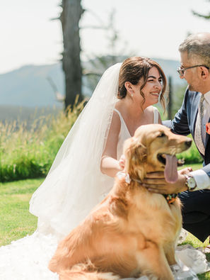 Bride and groom kneeling down to pet their dog, exchanging loving looks with greenery and hills as a backdrop.