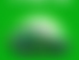 Chicago's 2026 St Patrick's Day Celebration Highlights and Essential Tips