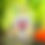 Thumbnail: Animals - Baby BiBiBu (White)