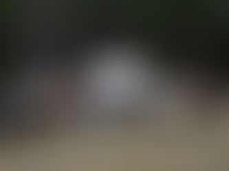 End Of Summer SOLVE Cleaup In the TSF