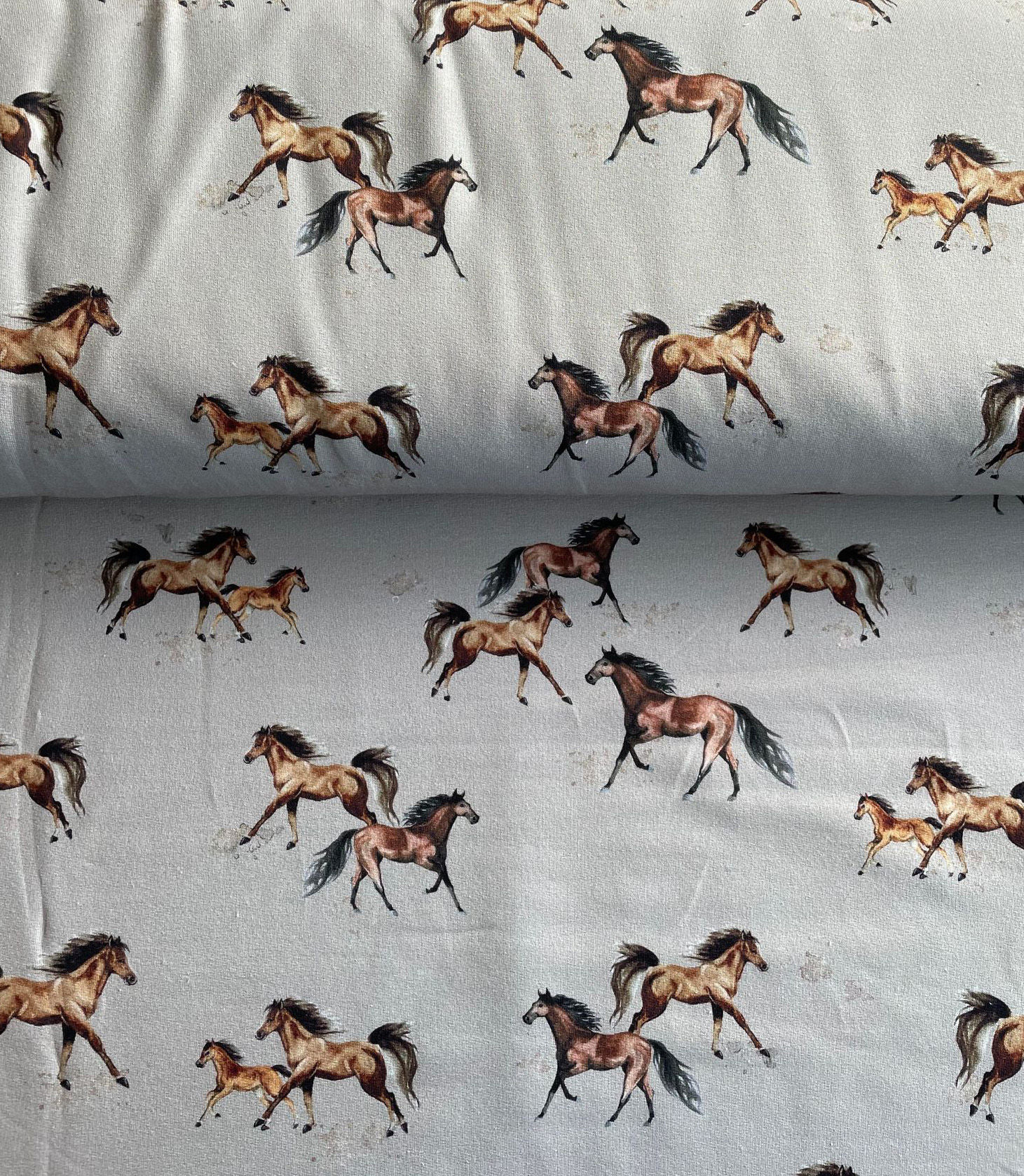 French Terry Digital Pferde