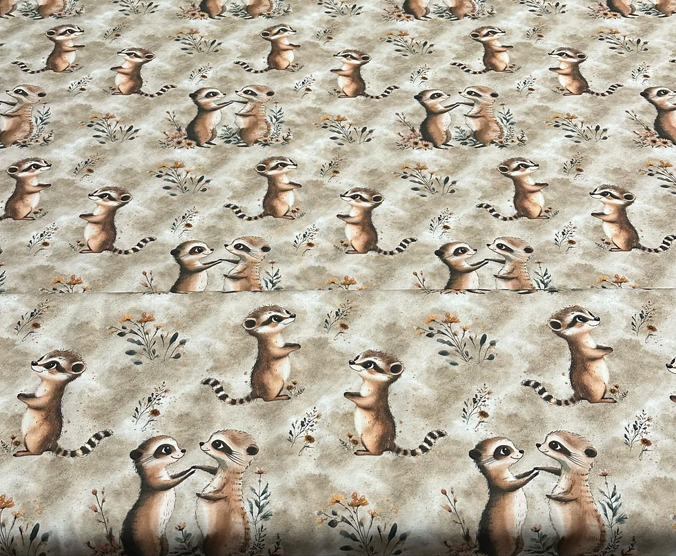 Bio-Baumwolljersey Erdmännchen Family - EP