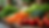 Close-up view of a fresh and colorful vegetable assortment