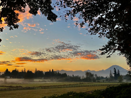 Welcome to my World!