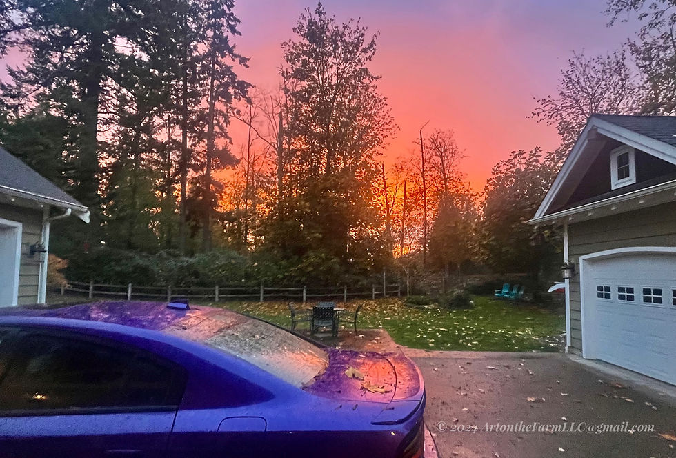 Thumbnail: October 20th Photos of the Day