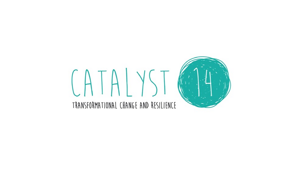 Catalyst 14