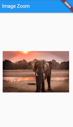 Basic Example InteractiveViewer