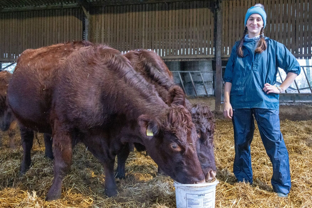 LC Farm and Equine Vets Ltd large animal vet Lincolnshire, UK