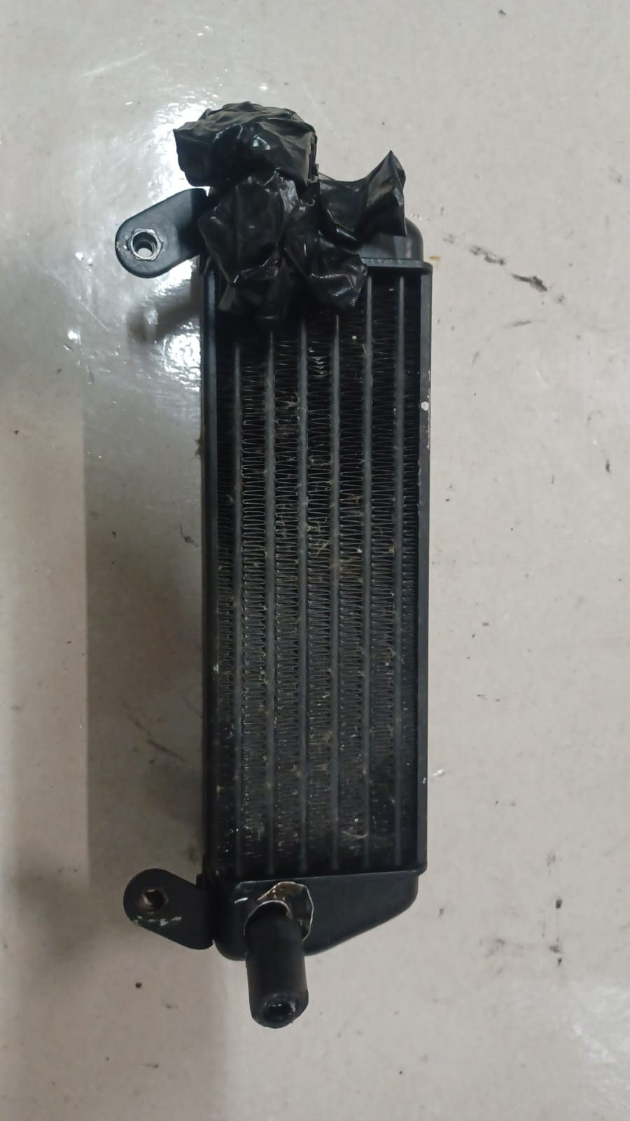 Miniatura: RADIATORE OLIO MOTORE USATO BMW GS 1200 04 - 07