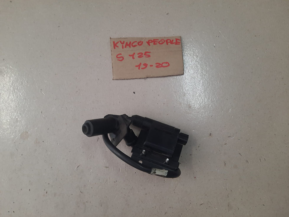 BOBINA COMPLETA USATA KYMCO PEOPLE S 125 I 17 - 19