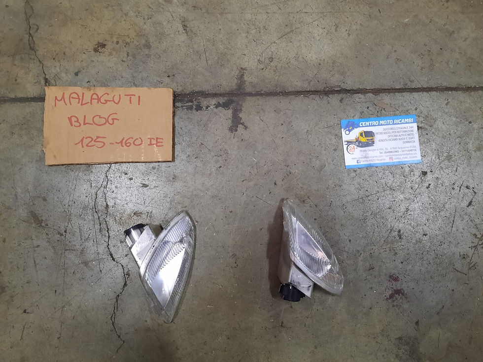 COPPIA FRECCE POSTERIORI USATE MALAGUTI BLOG 125 160 I.E