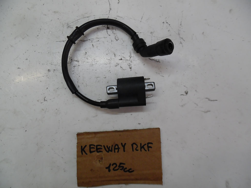 Miniatura: BOBINA ACCENSIONE USATA KEEWAY RKF 125cc 2018>