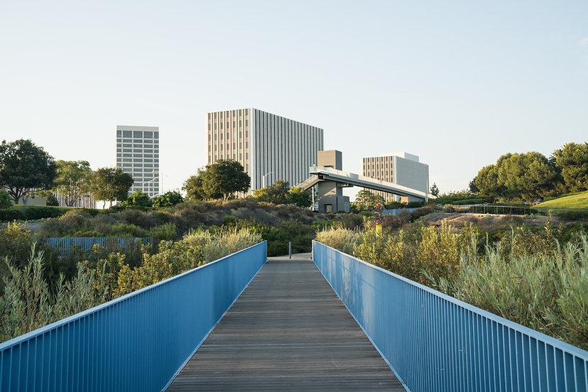 AdobeStock_254040899.jpeg
