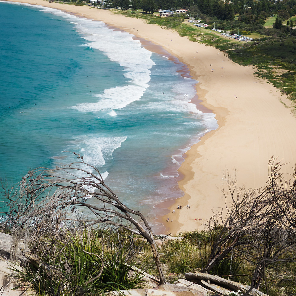 rip currents safety what to do lifeguard