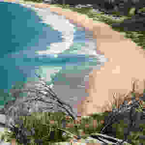rip currents safety what to do lifeguard